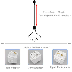 Remote Control RGB LED Track Pendant Light Adjustable Fixture Loft Style