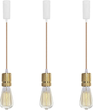 Load image into Gallery viewer, 3-Lights Lift Track Lighting Pendants with Industrial Aluminum Socket for Kitchen Dinning Table