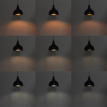 Load image into Gallery viewer, Adjustable Height Track Pendant Lighting Black Lamp Industrial Vintage With Remote Control