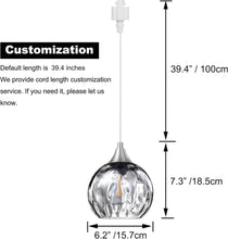 Load image into Gallery viewer, Track Lighting Pendants Modern Glass Globe Decorative Track Lighting Fixture For Kitchen Hallway