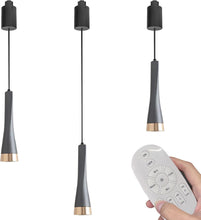 Load image into Gallery viewer, 3-Light Track Pendant Light Remote Control with Dimmable Smart Led Light Adjustable Length for Decor