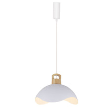 Load image into Gallery viewer, Track Pendant Light with Multi Color Iron Shade, Adjustable Length for Bedroom Home Lighting