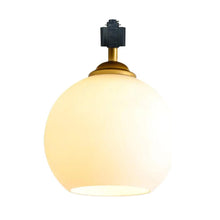 Load image into Gallery viewer, Track Head Lighting Ceiling Lights Globe Glass Lampshade