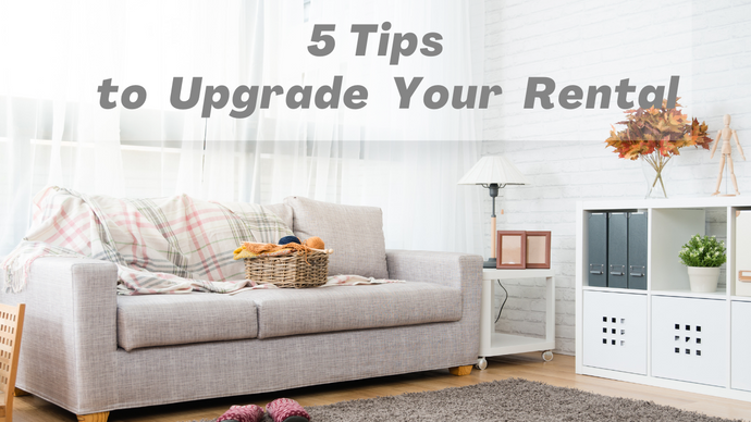 5 Tips to Upgrade Your Rental Apartment