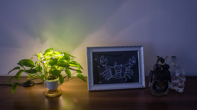 How to use LED Accent Spotlights to light up your Decor