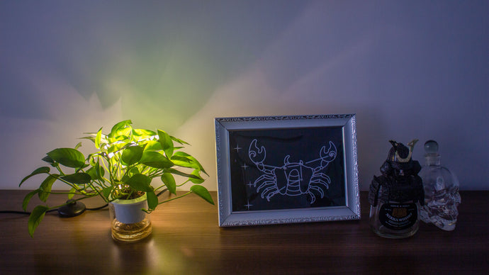 How to use LED Accent Spotlights to light up your Decor