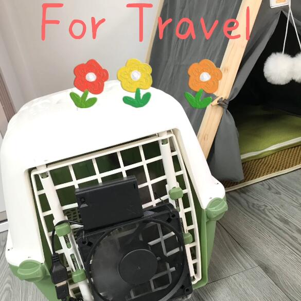 How can I keep my dog cool in the crate?