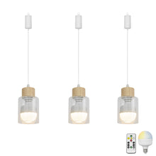 Load image into Gallery viewer, Brightness Adjusted Rechargeable Battery Remote LED Pendant Light Wood Base Glass Shade Modern Design