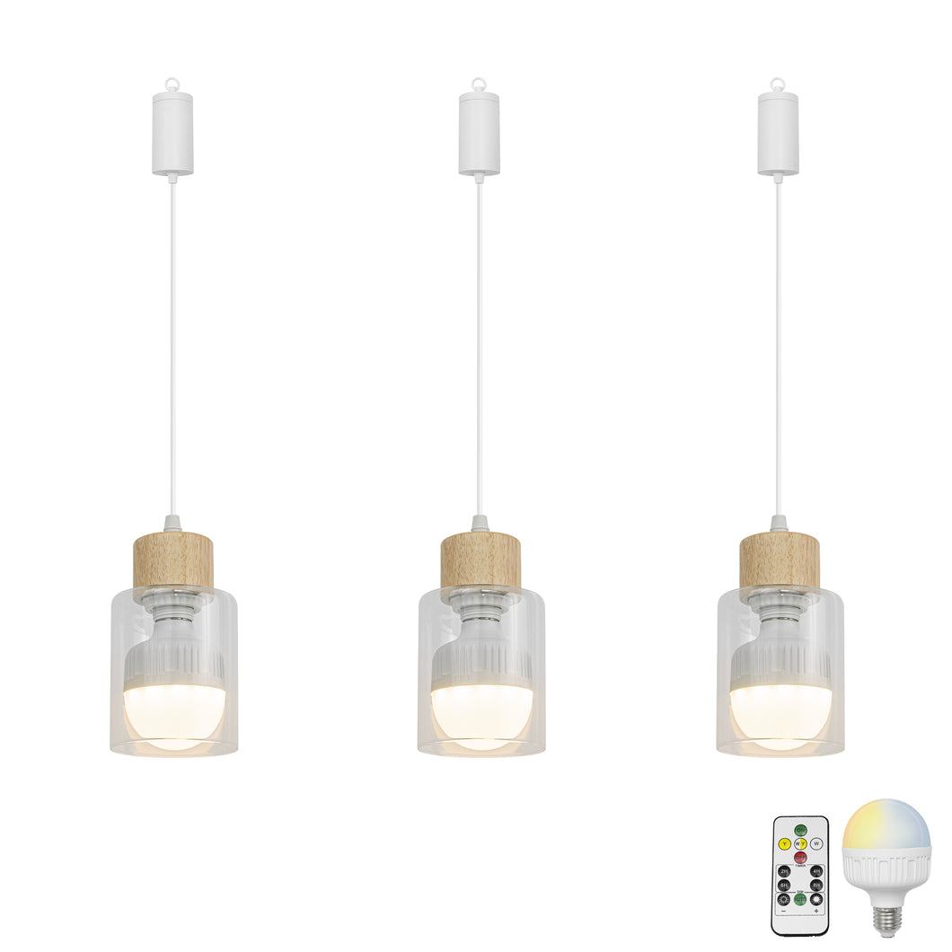 Brightness Adjusted Rechargeable Battery Remote LED Pendant Light Wood Base Glass Shade Modern Design