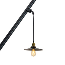 Load image into Gallery viewer, Sloped Position Track Light Fixture E26 Base 10&quot; Diameter Lampshade Hanging Lamp Inclined Roof