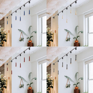1-Light Track Pendant Light Remote Control with Dimmable Smart Led Light Adjustable Length for Decor