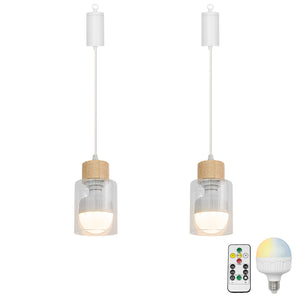 Brightness Adjusted Rechargeable Battery Remote LED Pendant Light Wood Base Glass Shade Modern Design