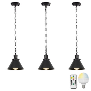 Rechargeable Battery Smart LED Bulb Remote Control Pendant Light Iron Chain Black Metal Light