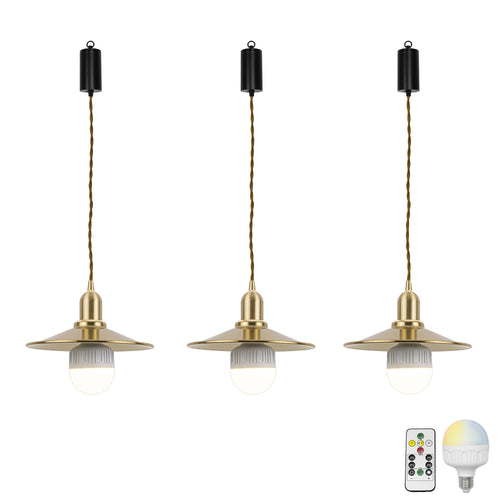 Brass Wireless Smart RGB LED Bulbs Rechargeable Battery Remote Adjusted Cord Pendant Light