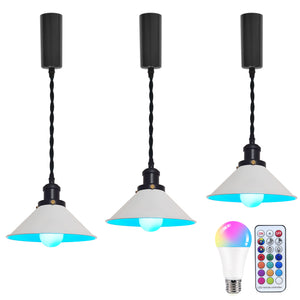 Remote Control RGB LED White Track Pendant Light Black E26 Base Adjustable Fixture Vintage Style