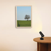 Load image into Gallery viewer, Rechargeable Battery Cordless Adjustable Beam Width Wall Sconce Spot Lamp With Remote