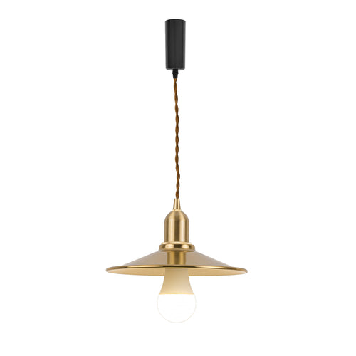 RGB LED Bulb With Remote Corded Dimmable Adjust Height Brass Track Pendant Light
