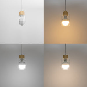 Brightness Adjusted Rechargeable Battery Remote LED Pendant Light Wood Base Glass Shade Modern Design