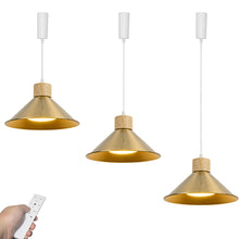 Load image into Gallery viewer, Dimmable Remote Control Wide Range Lighting Wood Gold Metal Shade Vintage Track Light