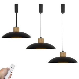 Dimmable Remote Control Wide Range Lighting Wood And Metal Shade Vintage Track Light