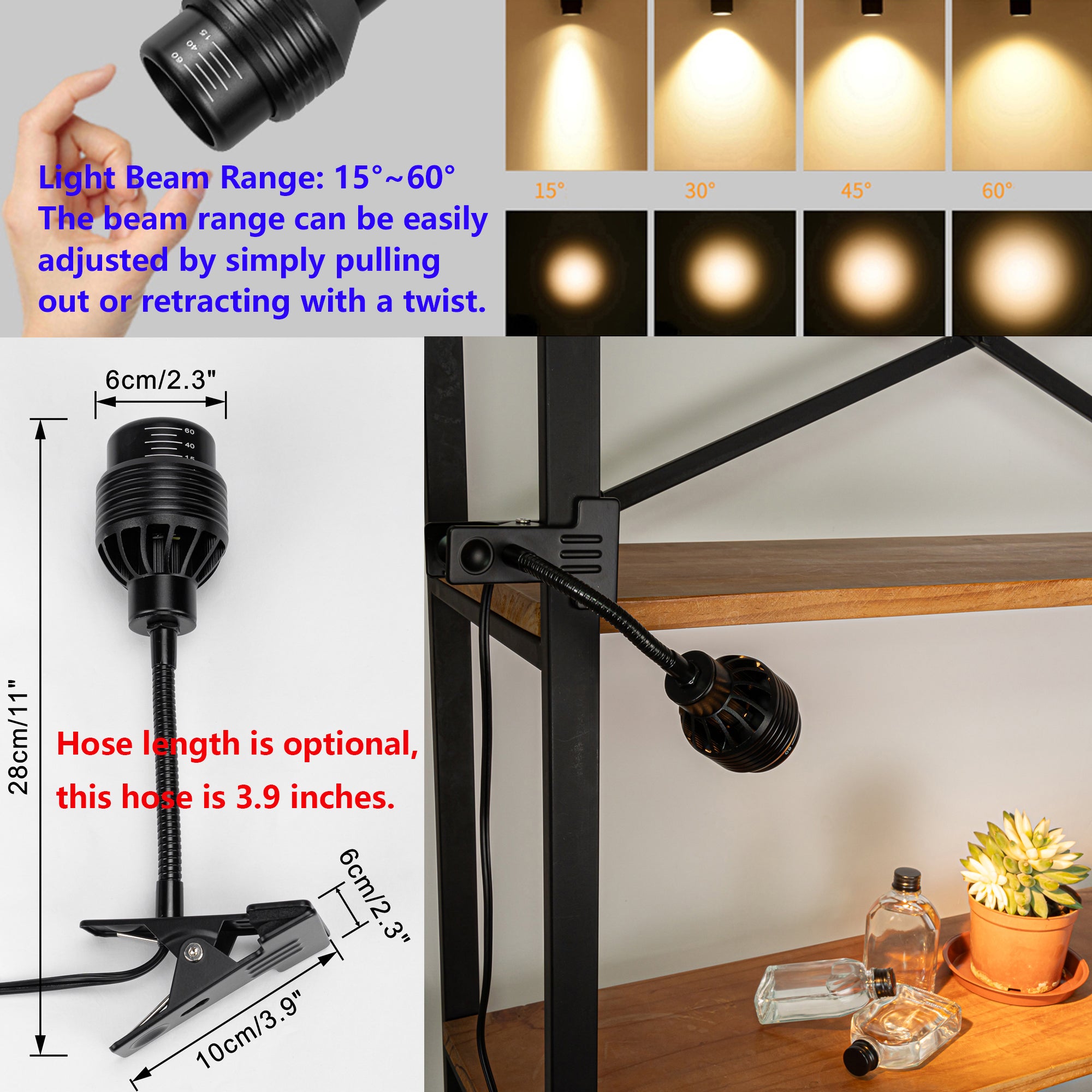 Focus light lamp cheap