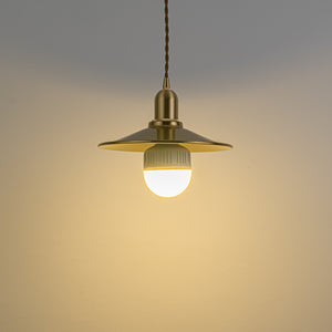 Brass Wireless Smart RGB LED Bulbs Rechargeable Battery Remote Adjusted Cord Pendant Light