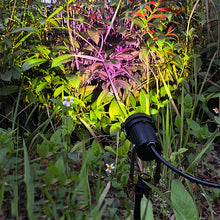 Load image into Gallery viewer, Clamp Floor Outdoor Sunset Ambiance Floodlight Waterproof Solar Power Three Ways Use Projection Light