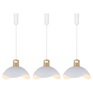 Track Pendant Light with Multi Color Iron Shade, Adjustable Length with 3 light for Home Lights