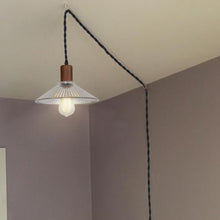 Load image into Gallery viewer, Dimmable Switch Plug in Cable Walnut E26 Base Glass Shade Modern Design Hanging Lamp for Kitchen