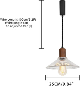 Walnut Base Clear Glass Shade Adjusted Cord Track Mount Modern Pendant Light for Kitchen