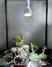 Load image into Gallery viewer, 2 Track Lights with Full Spectrum Bulbs, 2 Track Mini Fans Easy Install White Plant Growing Kit