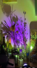 Load image into Gallery viewer, Clamp Floor Outdoor Sunset Ambiance Floodlight Waterproof Solar Power Three Ways Use Projection Light