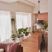 Load image into Gallery viewer, Customized Shade, Socket, Cord Length, Mount Type Battery Operated Pendant Light Adjusted Iron Cable