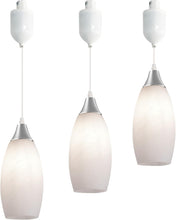 Load image into Gallery viewer, Modern Track lighting Pendants Adjustable Height Art Glass Lampshade Track Lighting Fixture 3-Pack