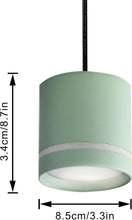 Load image into Gallery viewer, Plant Grow Plug-in Pendant Light Macaron Style Portable with Timer Full Spectrum for Balcony