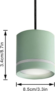 Plant Grow Plug-in Pendant Light Macaron Style Portable with Timer Full Spectrum for Balcony