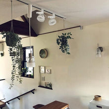 Load image into Gallery viewer, 1 Track Rail, 2 Track Lights With Full Spectrum Bulbs, 2 Track Mini Fans White Plant Growing Kit