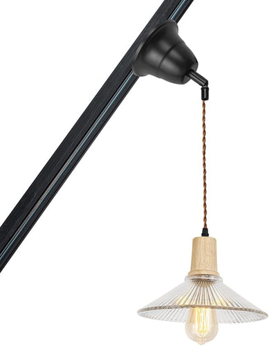 Wooden Base Clear Glass Shade Adjusted Cord Track Mount Pendant Light for Inclined Position Roof
