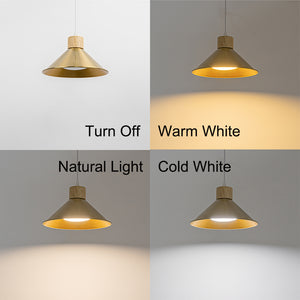 Dimmable Remote Control Wide Range Lighting Wood Gold Metal Shade Vintage Track Light