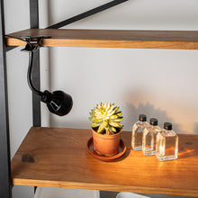 Load image into Gallery viewer, Clip Lamp Adjusted Light Beam Focus Lighting Plug In Wired Multi Color Temperature Options