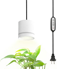Load image into Gallery viewer, Plant Grow Plug-in Pendant Light Macaron Style Portable with Timer Full Spectrum for Balcony