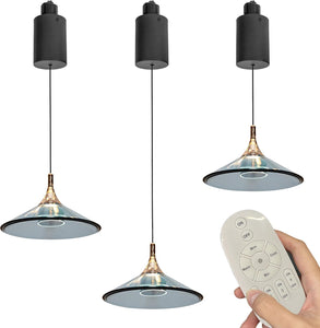 Adjustable 3-Lights Track Pendant Light by Remote Control with Stepless Dimming Indoor Island Light