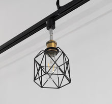 Load image into Gallery viewer, Hollow Cage Metal Shade Track Light Rotatable Tilt Adjustable Accent Lighting Vintage Design