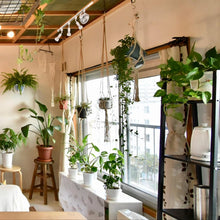 Load image into Gallery viewer, White Track Mount Mini Fan x1, Light x3, Track Rail With Timer Cord x1,  Simple For Plant Shelf Home