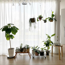 Load image into Gallery viewer, White Track Mount Mini Fan x1, Light x3, Track Rail With Timer Cord x1,  Simple For Plant Shelf Home