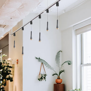 1-Light Track Pendant Light Remote Control with Dimmable Smart Led Light Adjustable Length for Decor