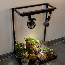 Load image into Gallery viewer, 1 Track Rail, 2 Track Lights No Bulb, 2 Track Mini Fans Easy Installation Black Plant Growing Kit
