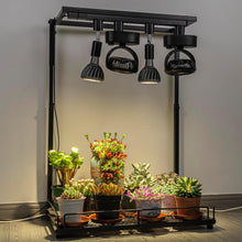 Load image into Gallery viewer, 2 Track Lights No Bulb, 2 Adjustable Wind Speed Track Mini Fans Easy Installation Plant Growing Kit