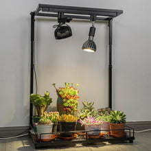 Load image into Gallery viewer, 1 Track Rail, 2 Track Lights No Bulb, 2 Track Mini Fans Easy Installation Black Plant Growing Kit