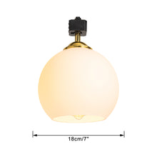 Load image into Gallery viewer, Track Head Lighting Ceiling Lights Globe Glass Lampshade